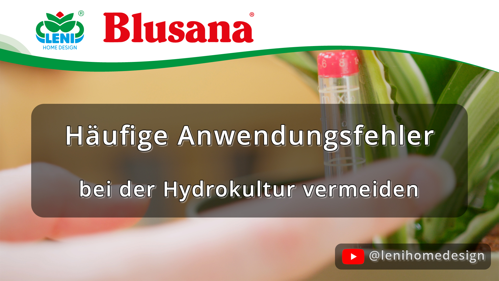 Häufige Anwendungsfehler bei der Hydrokultur vermeiden