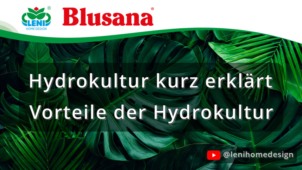 Video: Wie funktioniert Hydrokultur? Anleitung und Tipps 2 Blusana - optimale Pflanzenpflege für Hydrokultur, Hydroponik und Erdkultur Leni YT Thumb Hydrokultur kurz erklaert Blusana - optimale Pflanzenpflege für Hydrokultur, Hydroponik und Erdkultur