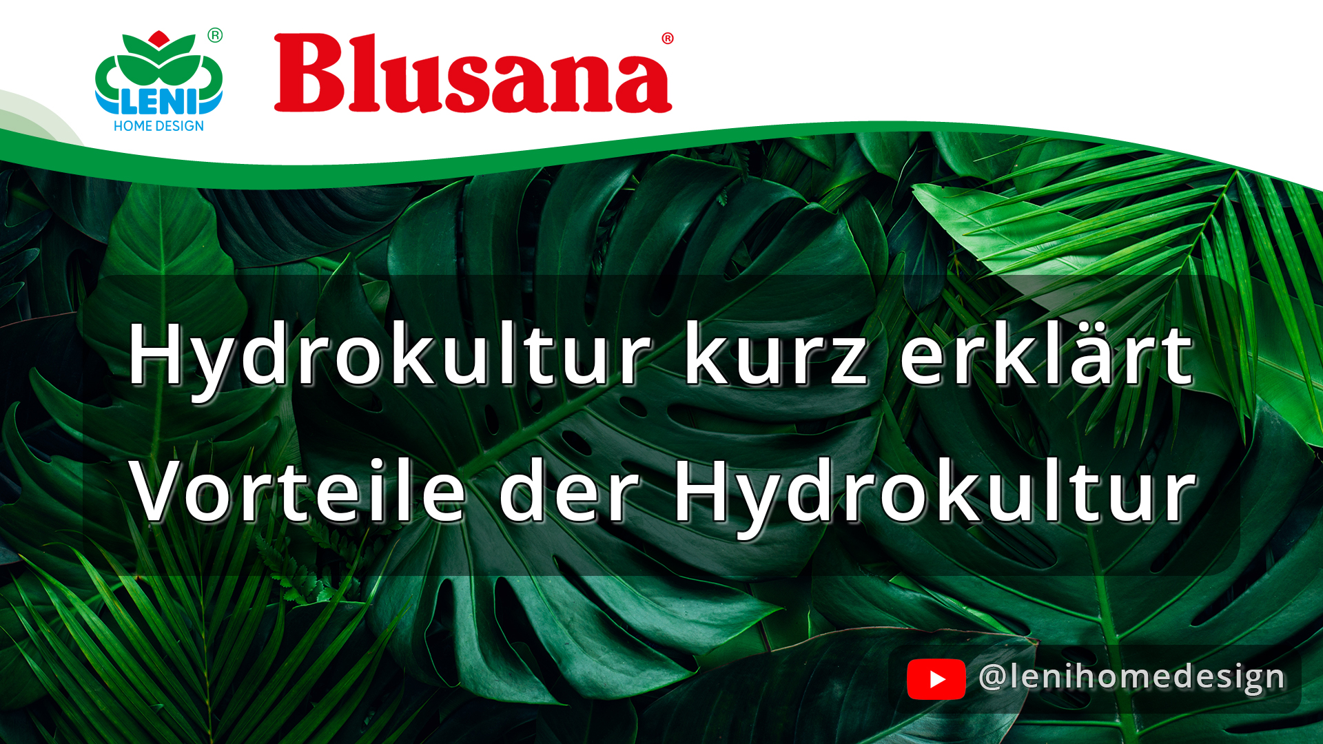 Hydrokultur kurz erklärt