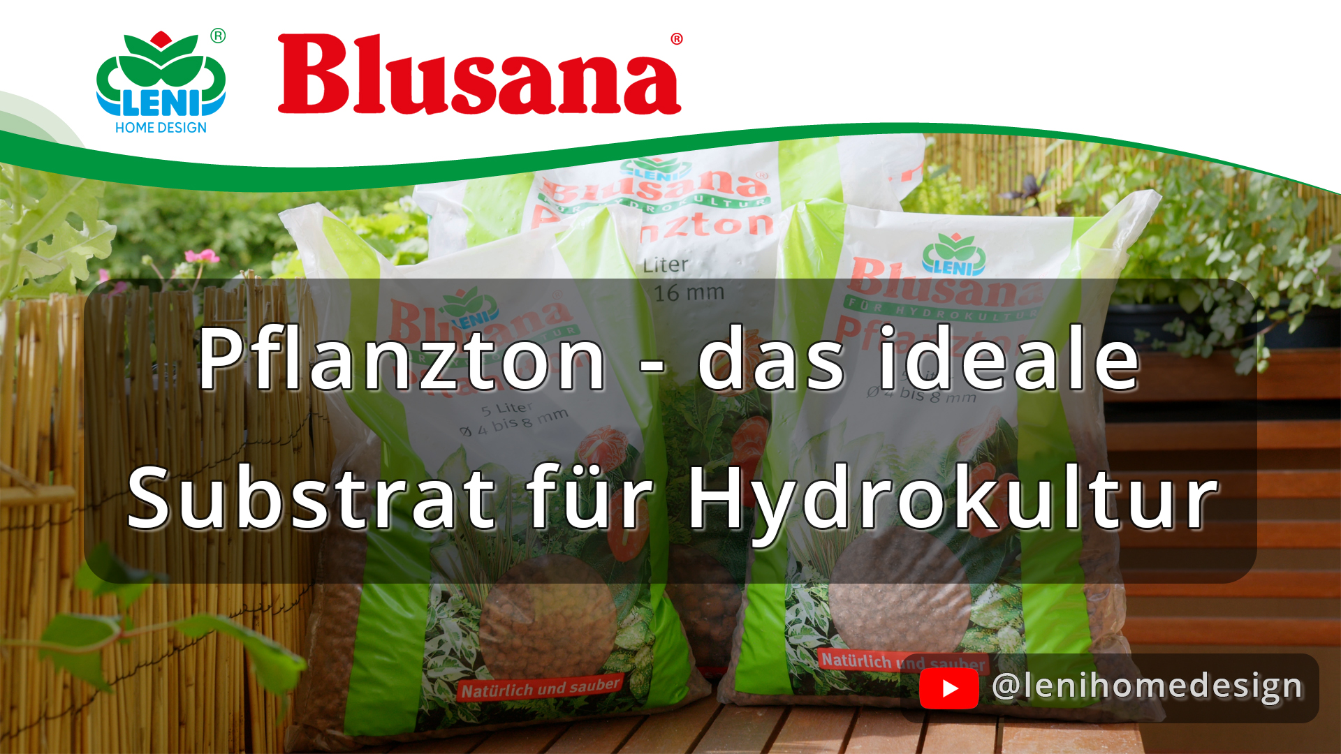 Pflanzton - das ideale Substrat für Hydrokultur