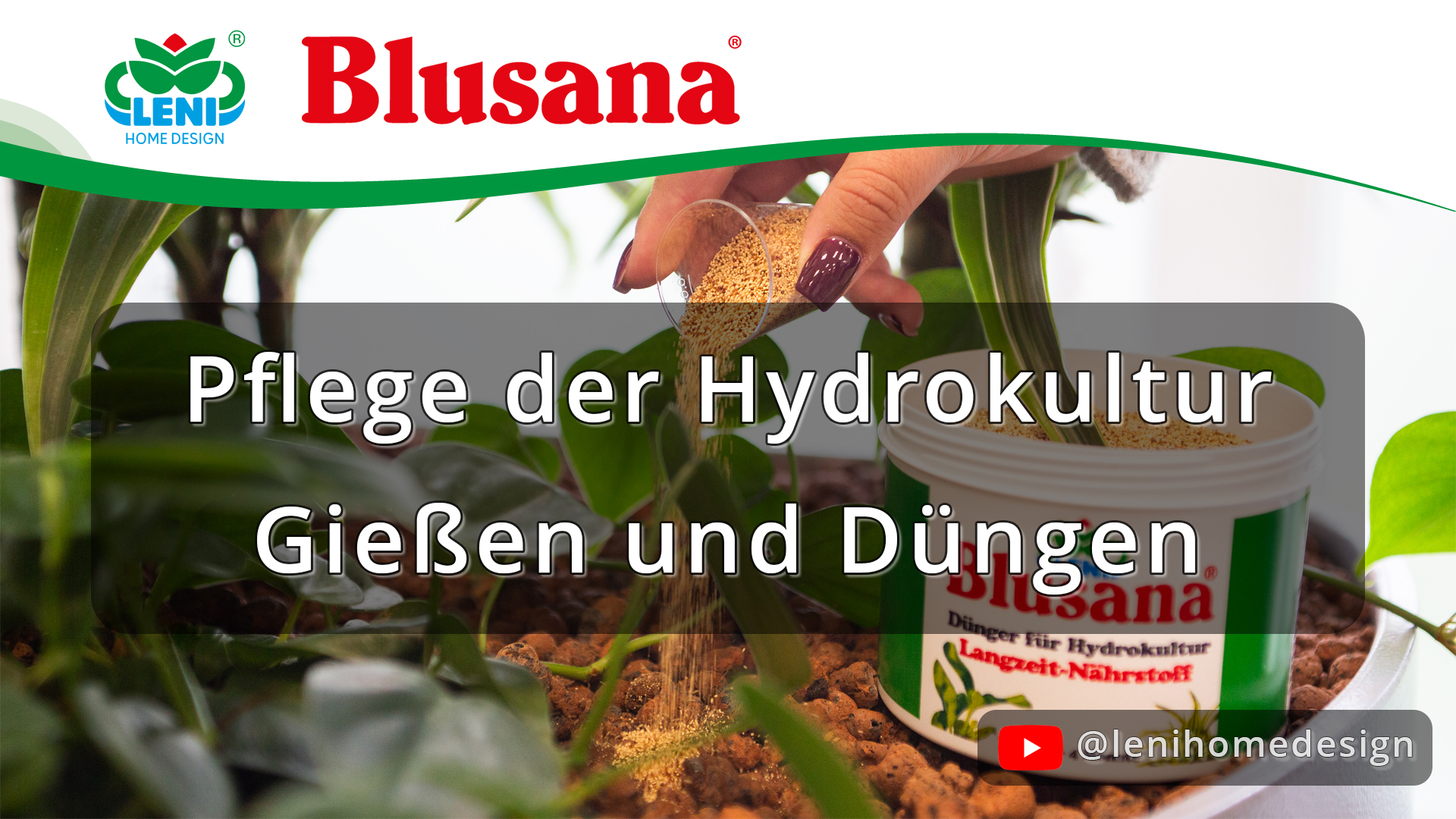Pflege der Hydrokultur - Gießen und Düngen