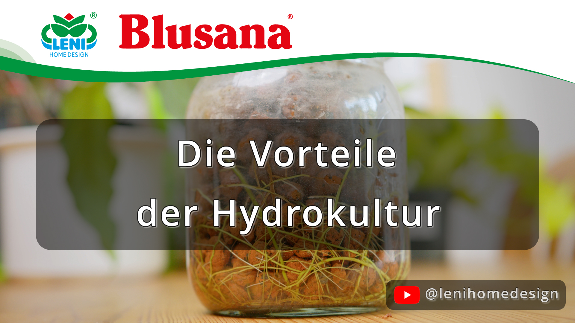 Die Vorteile der Hydrokultur