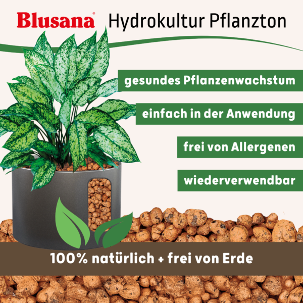 7 Blusana - optimale Pflanzenpflege für Hydrokultur, Hydroponik und Erdkultur