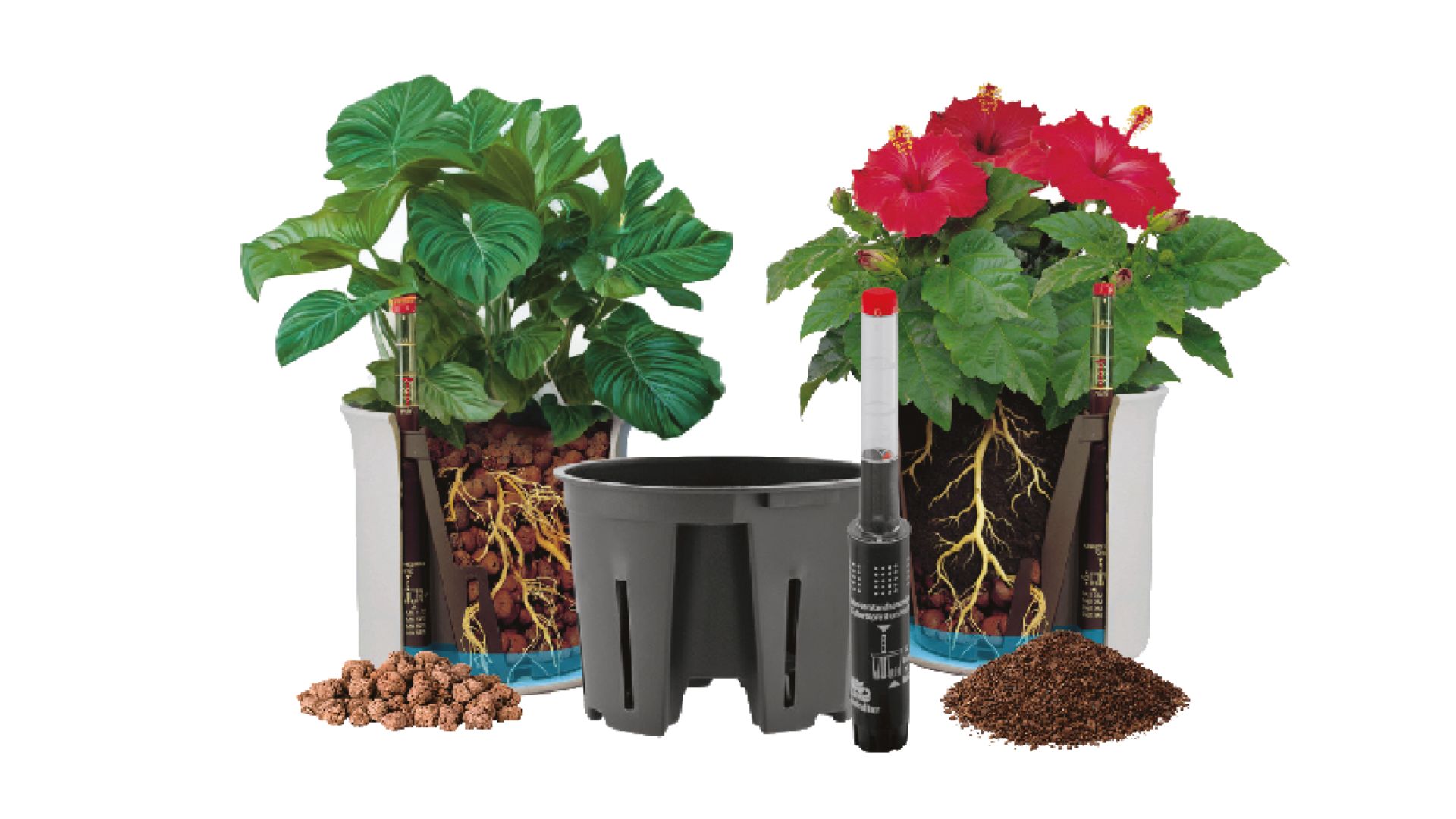 Blusana Blähton für Hydrokultur und Semi-Kultur