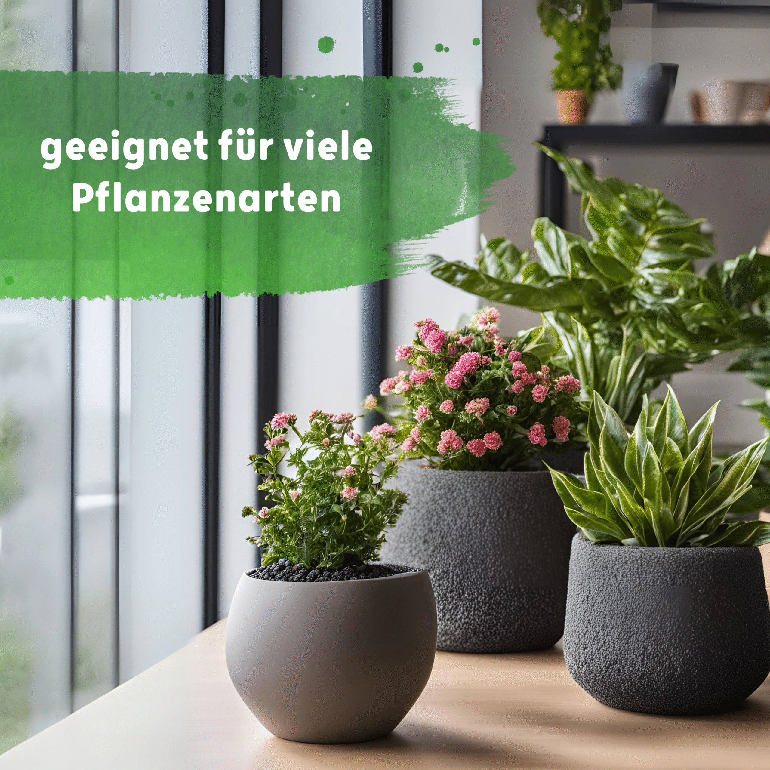 langzeit 4 scaled Blusana - optimale Pflanzenpflege für Hydrokultur, Hydroponik und Erdkultur