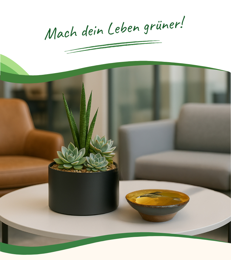 Moderner, heller Wohn- oder Wartebereich mit zwei Sesseln und einem runden Tisch, darauf eine Schale und ein Pflanzgefäß mit Sukkulenten in Hydrokultur
